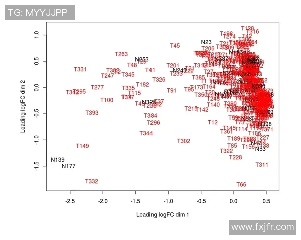 足球的量词探秘：从一场比赛到一队球员的多样表达方式